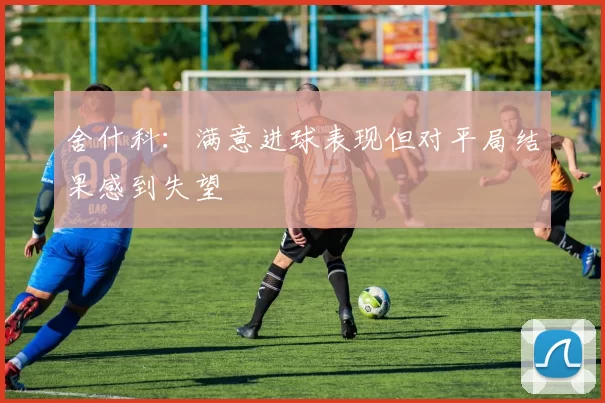 舍什科：满意进球表现但对平局结果感到失望