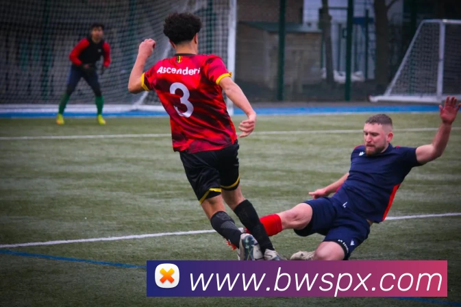 必威体育APP 封面图